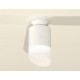 Накладной светильник Ambrella Light XS6301105 XS