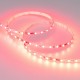 Лента светодиодная Arlight 030195(2) SPI