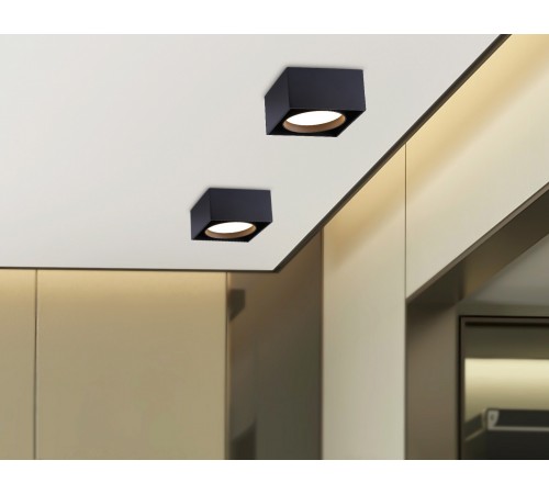 Накладной светильник Ambrella Light TN70866 TN Накладной светильник Ambrella Light TN70866 TN