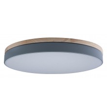 Накладной светильник Loft it 10001/36 Grey Axel
