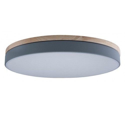 Накладной светильник Loft it 10001/36 Grey Axel Накладной светильник Loft it 10001/36 Grey Axel