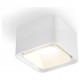 Накладной светильник Ambrella Light XS7832021 XS