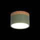 Накладной светильник Loft it 10162 Green Grape
