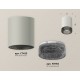 Накладной светильник Ambrella Light XS7423002 XS