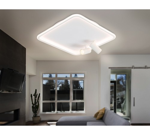 Накладной светильник Ambrella Light FL5114 FL Накладной светильник Ambrella Light FL5114 FL