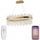 Подвесной светильник Natali Kovaltseva LED LAMPS 81264 Smart Нимбы