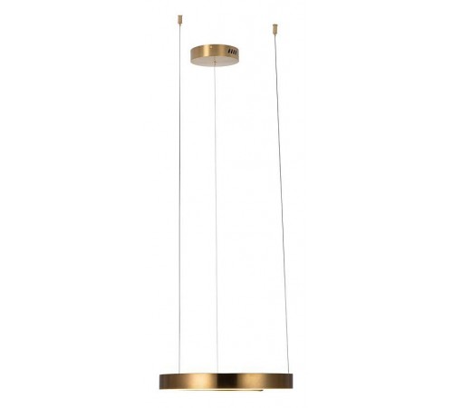 Подвесной светильник Loft it 10013S Ring Подвесной светильник Loft it 10013S Ring