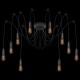 Подвесная люстра Loft it LOFT1162/10 Spider