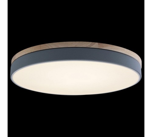 Накладной светильник Loft it 10001/36 Grey Axel Накладной светильник Loft it 10001/36 Grey Axel