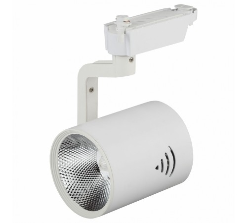 Светильник на штанге Эра TR1 - 30 WH TR1 Светильник на штанге Эра TR1 - 30 WH TR1