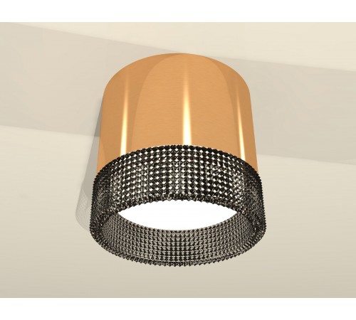 Накладной светильник Ambrella Light XS8121021 XS Накладной светильник Ambrella Light XS8121021 XS