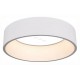 Подвесной светильник Arlight 022146(1) SP-TOR-RING-HANG-R460-33W Warm3000 (WH, 120 deg)