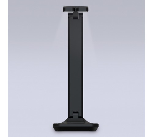 Настольная лампа офисная Ambrella Light DE491 DE Настольная лампа офисная Ambrella Light DE491 DE