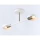 Светильник на штанге Ambrella Light TR8222 TR