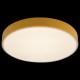 Накладной светильник Loft it 10002/24 Yellow Axel 1