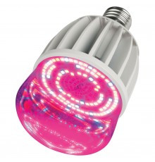 Лампа светодиодная Uniel 11098 LED-M80