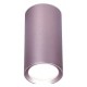 Накладной светильник Ambrella Light TN220 TN