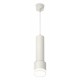 Подвесной светильник Ambrella Light XP8110009 XP