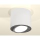 Накладной светильник Ambrella Light XS7401003 XS