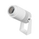 Настенно-потолочный прожектор Arlight 042676(1) RAY