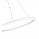 Подвесной светильник Kink Light 08228,01A (4000K) Тор
