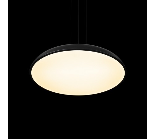 Подвесной светильник Loft it 10371P Black Dime