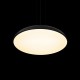 Подвесной светильник Loft it 10371P Black Dime