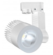 Светильник на штанге Escada 20030TRA/01LED SWH 20030