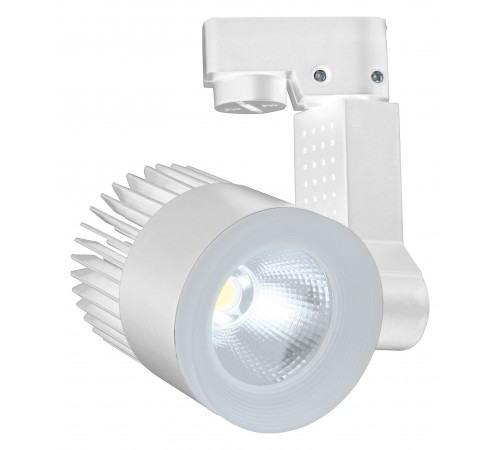 Светильник на штанге Escada 20030TRA/01LED SWH 20030