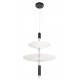 Подвесной светильник Loft it 10244/B Black Skylar