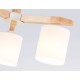 Люстра на штанге Ambrella Light TR83112 TR