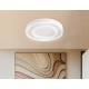 Накладной светильник Ambrella Light FL5821 FL