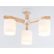 Люстра на штанге Ambrella Light TR83112 TR