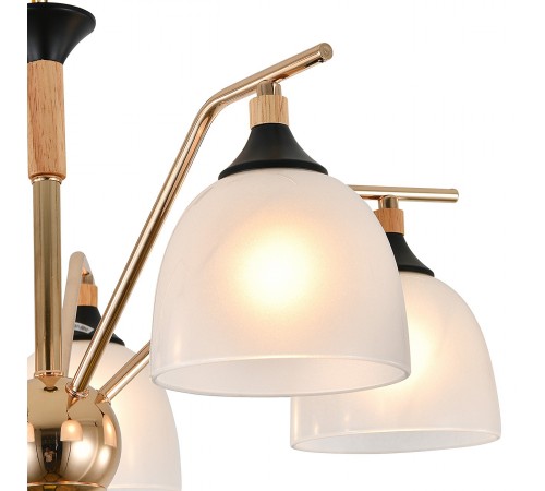 Подвесная люстра Escada 2123/5P Actinidia Подвесная люстра Escada 2123/5P Actinidia