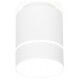 Накладной светильник Ambrella Light TN255 TN