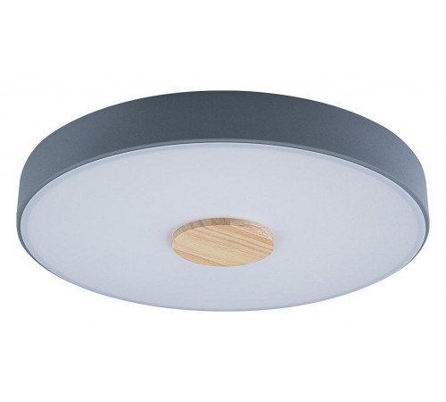 Накладной светильник Loft it 10003/24 Grey Axel 2 Накладной светильник Loft it 10003/24 Grey Axel 2