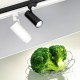 Светильник на штанге Arlight 032449 ZEUS FOOD