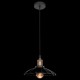 Подвесной светильник Loft it LOFT1101 Factory Filament