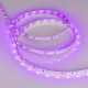 Лента светодиодная Arlight 013571(2) RT открытая