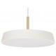 Подвесной светильник Arlight 033914(1) ELEGANT