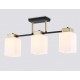 Люстра на штанге Ambrella Light TR303046 TR