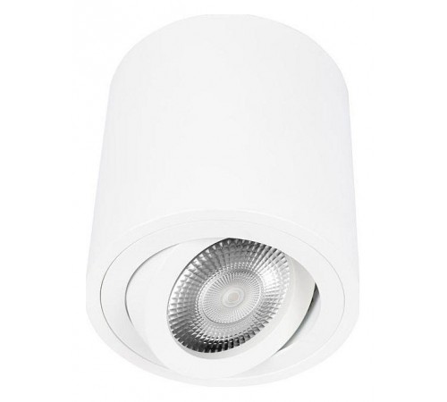 Накладной светильник Loft it 10340/B White Unit
