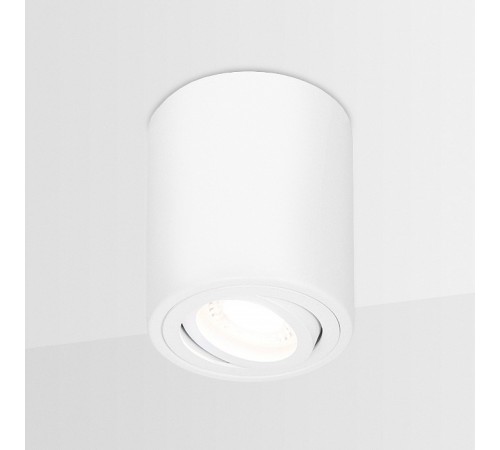 Накладной светильник Ambrella Light TN225 TN Накладной светильник Ambrella Light TN225 TN