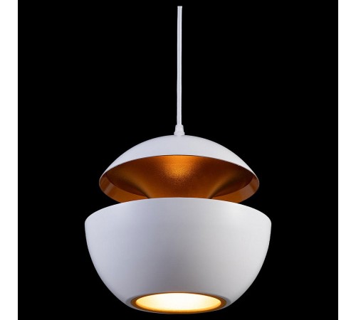 Подвесной светильник Loft it LOFT2213-A Apple Подвесной светильник Loft it LOFT2213-A Apple