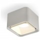 Накладной светильник Ambrella Light XS7834010 XS