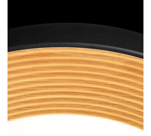 Накладной светильник Loft it 10255/500 Black Folk Накладной светильник Loft it 10255/500 Black Folk