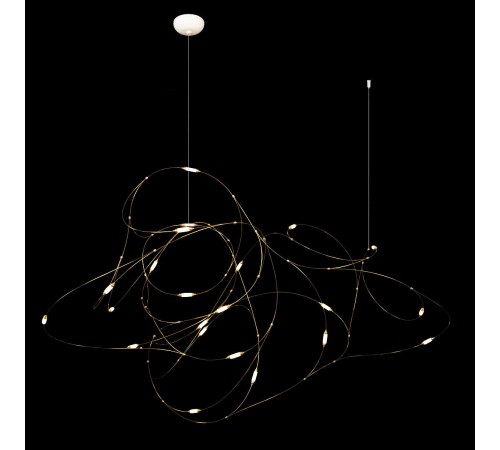 Подвесная люстра Loft it 10309/21 Flock of Light Подвесная люстра Loft it 10309/21 Flock of Light