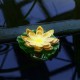 Растение Uniel UL-00011600 WATERLILY