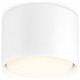 Накладной светильник Ambrella Light TN5301 TN
