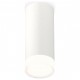 Накладной светильник Ambrella Light XS7442014 XS